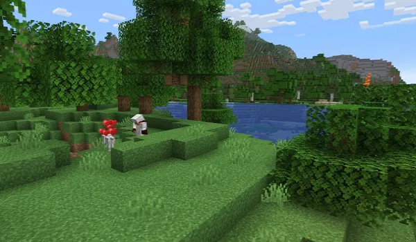 Overworld